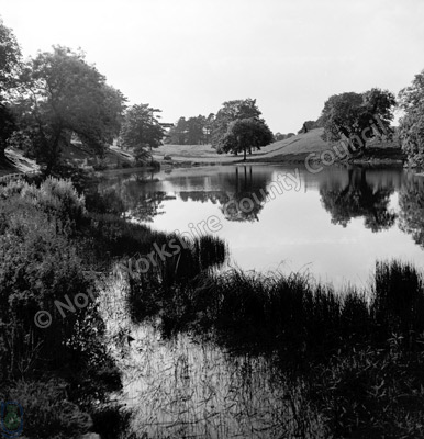 Jervaulx Park, Pond